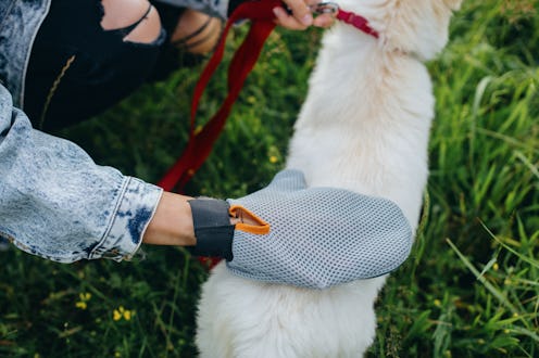 the best dog grooming gloves