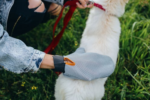 the best dog grooming gloves