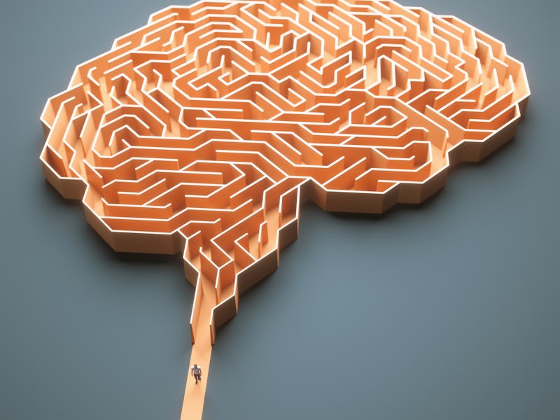 Brain illustration.