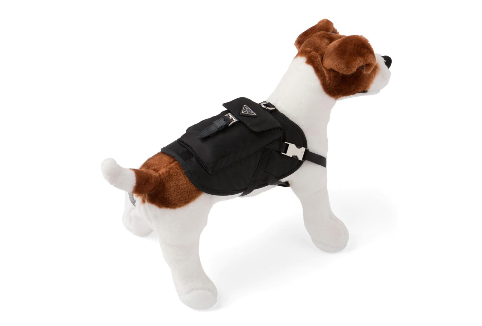 prada dog bag