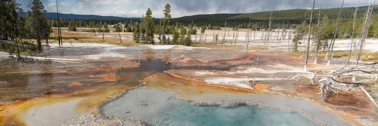 Yellowstone