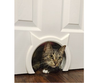 The Kitty Pass Interior Cat Door