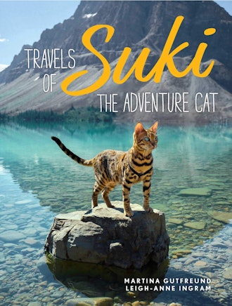 'Travels of Suki the Adventure Cat' by Martina Gutfreund and Leigh-Anne Ingram