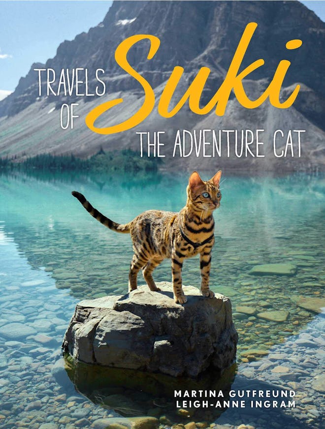 'Travels of Suki the Adventure Cat' by Martina Gutfreund and Leigh-Anne Ingram