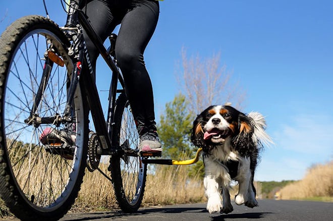 1-Running Dog Bike Tow Leash