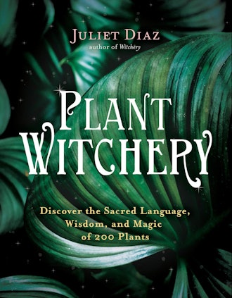 'Plant Witchery: Discover the Sacred Language, Wisdom, and Magic of 200 Plants' by Juliet Diaz