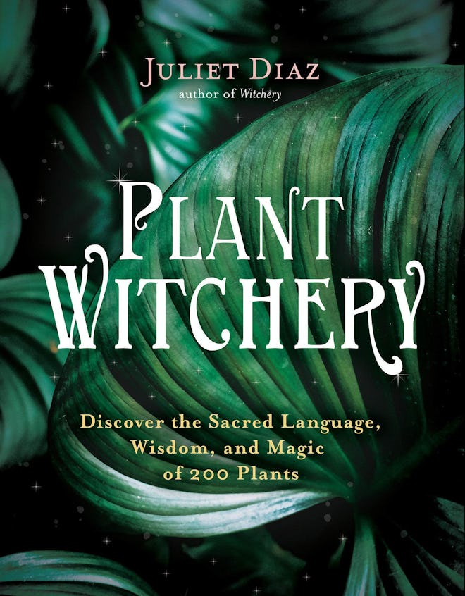 'Plant Witchery: Discover the Sacred Language, Wisdom, and Magic of 200 Plants' by Juliet Diaz