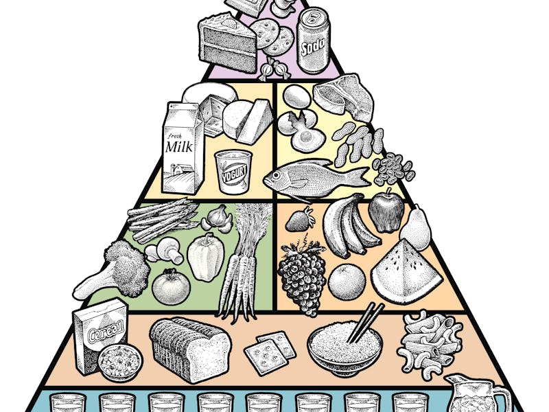 food, diet