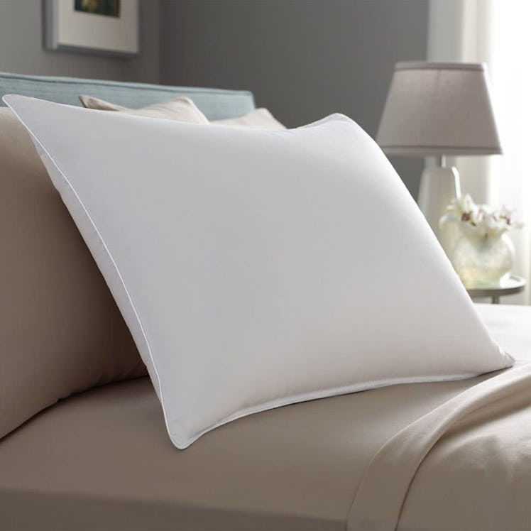Pacific Coast Touch of Down Pillow Set (Set of 2)
