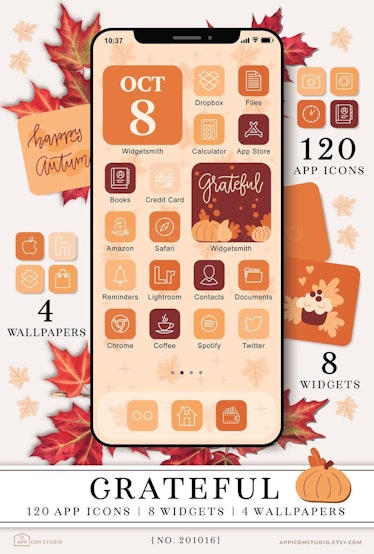 Thanksgiving Fall Aesthetic iOS 14 Home Screen Theme Pack