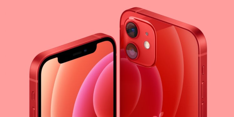 These iPhone 12 Mini cases are the cutest compliment to your little phone.