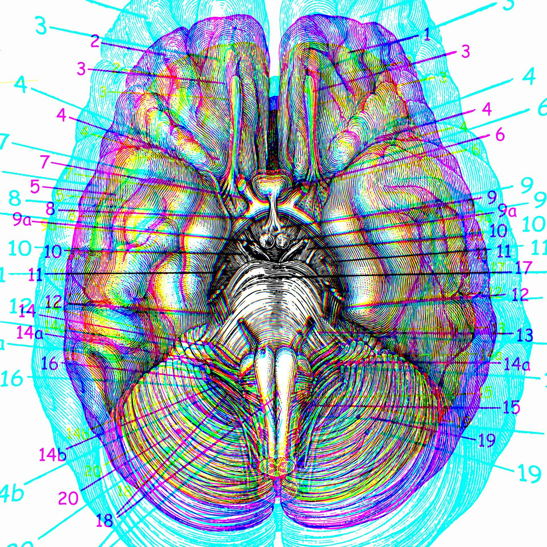 brain, trip, psychedelics 