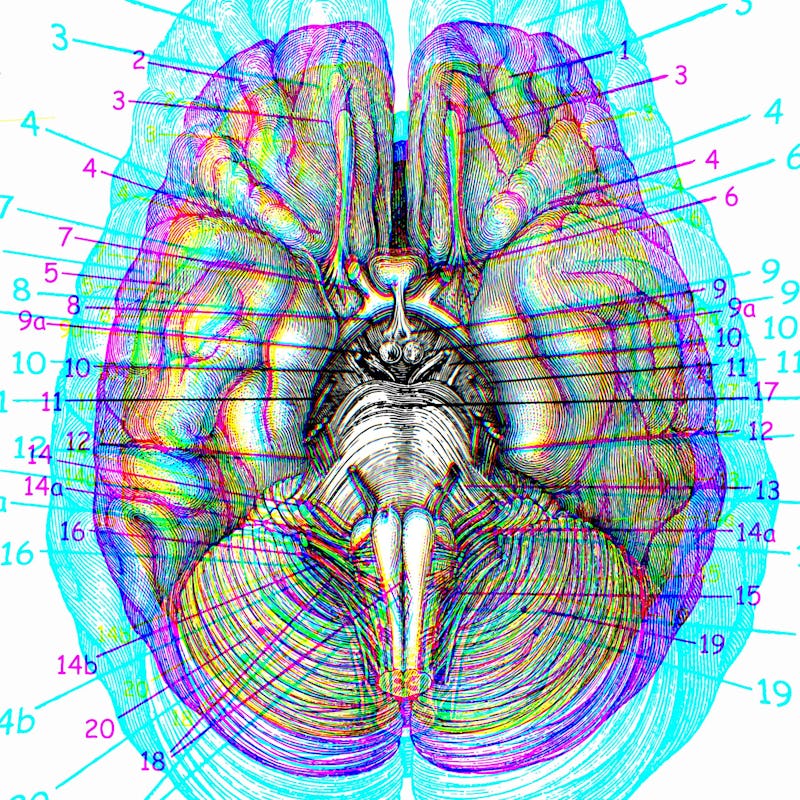 brain, trip, psychedelics