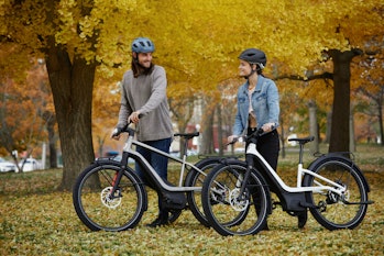 Two people walking RUSH/CTY e-bikes in a park