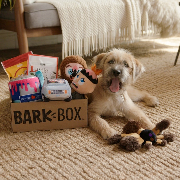 This 'Home Alone' BarkBox Has Toys & Treats Themed From The Movie