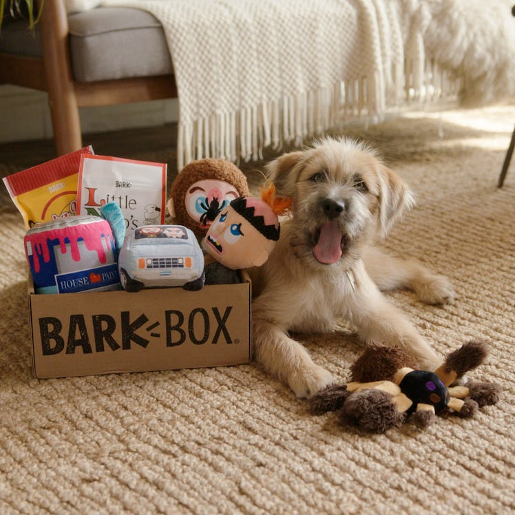 This ‘Home Alone’ BarkBox has toys and treats for your dog