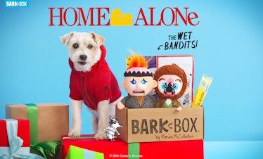 Home Alone BarkBox and Super Chewer Toys and Treats