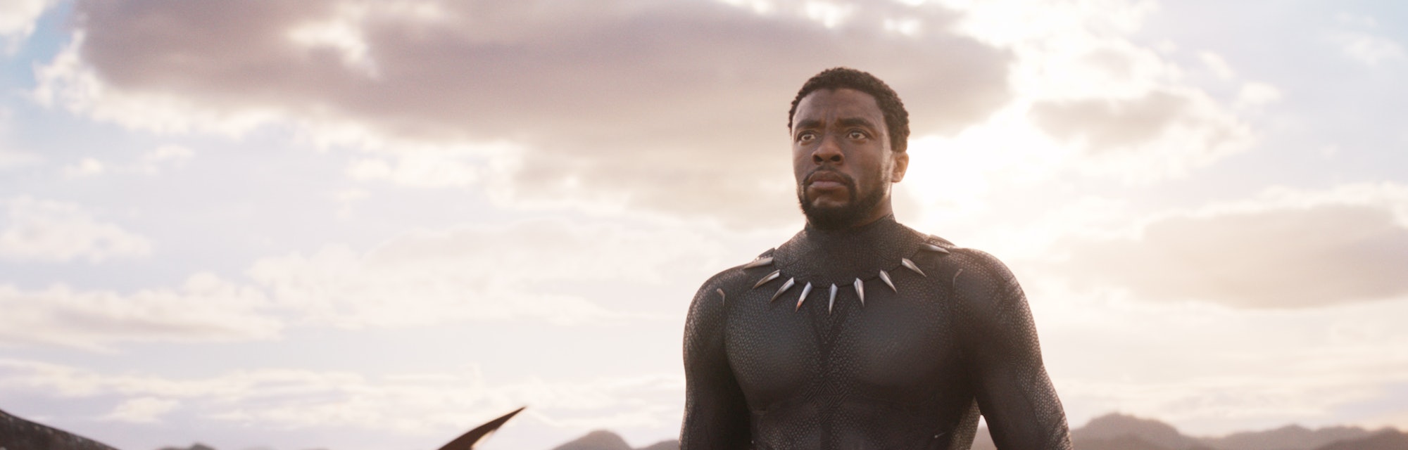 It's still too soon to think about 'Black Panther 2'