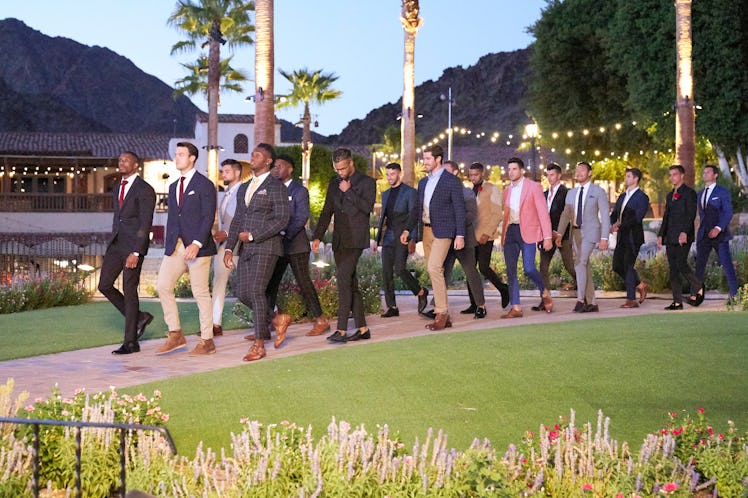 the men in Season 16 of 'The Bachelorette'