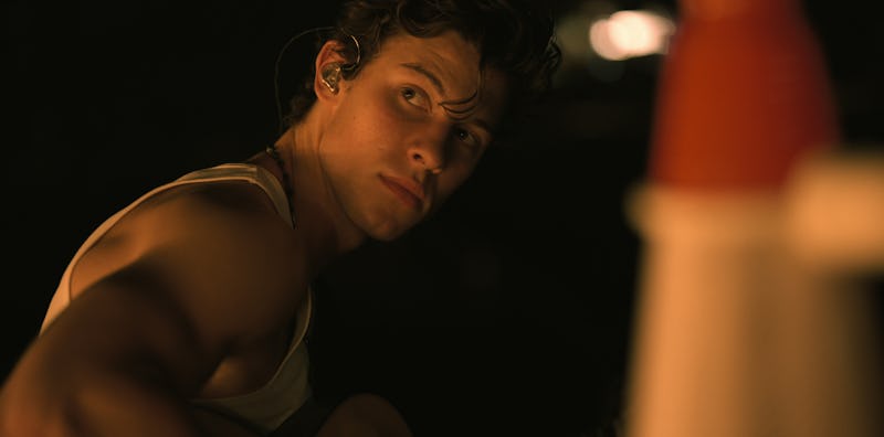 Shawn Mendes in 'Shawn Mendes: In Wonder' via the Netflix press site.