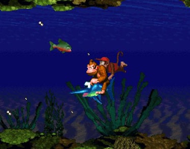 Donkey Kong Country's levels varied in their mechanics, and allowed for help from animal friends.
