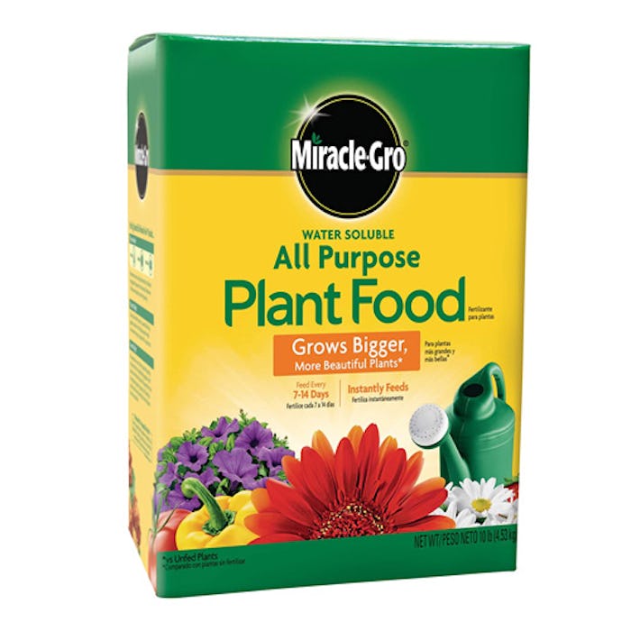 Miracle-Gro Water Soluble All Purpose Plant Food