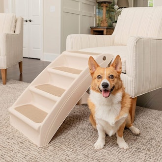 PetSafe CozyUp Folding Pet Steps