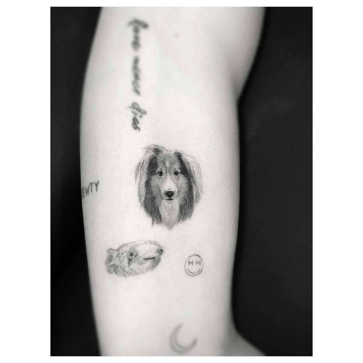 Miley Cyrus' tattoo is of her dog Emu. 