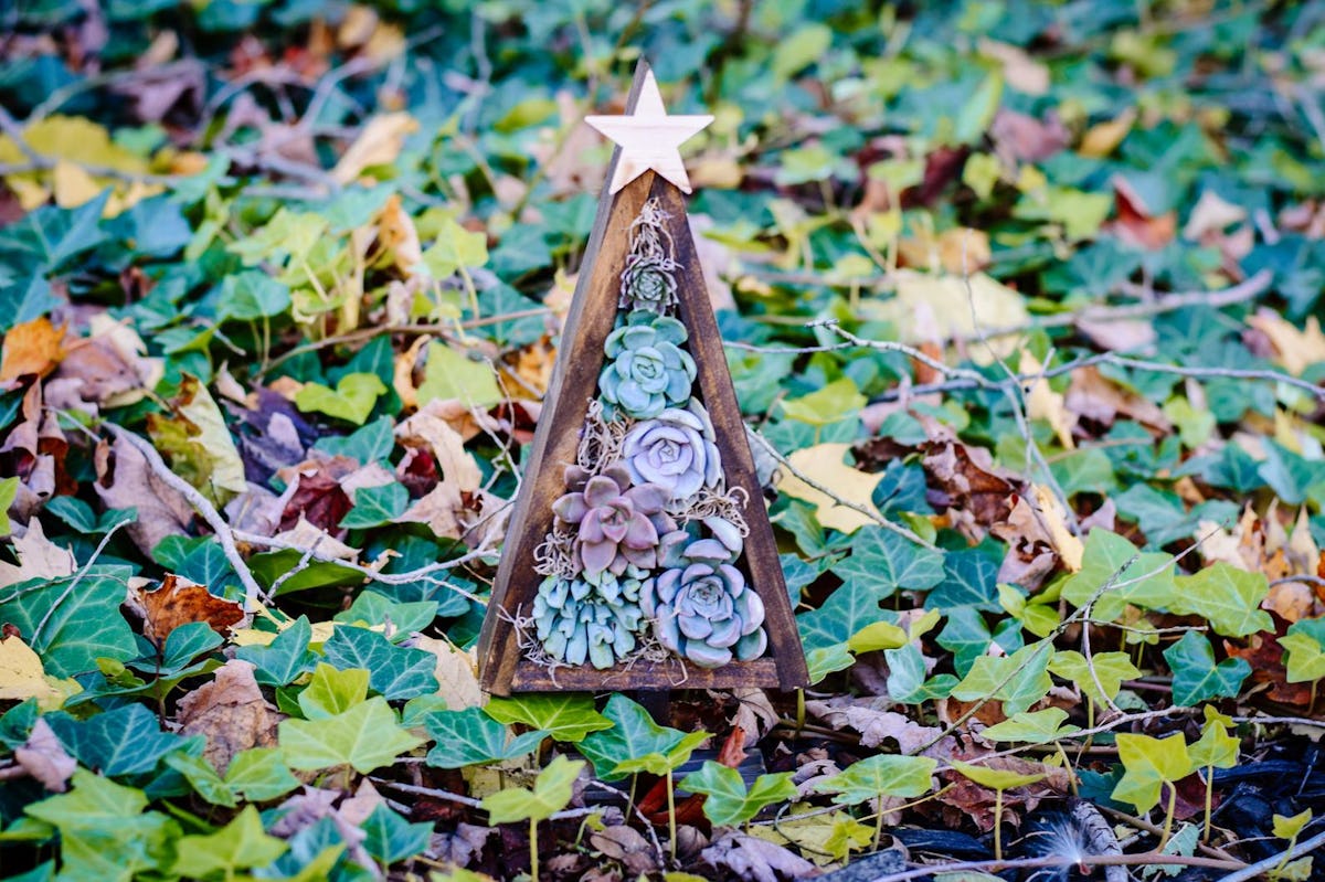 A wooden planter with succulents inside that looks like a Christmas tree, sits in the woods on the ground.