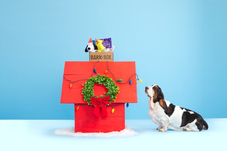 This Peanuts BarkBox has holiday toys with your favorite characters