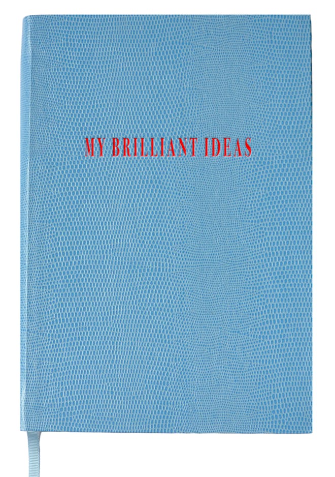 Notebook N°4—My Brilliant Ideas