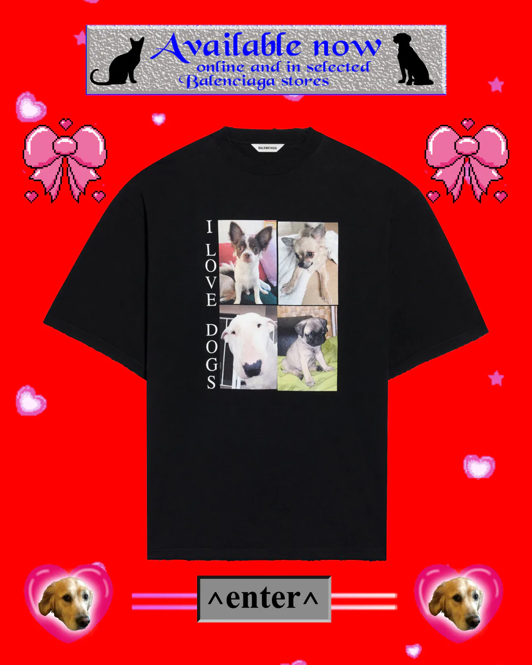 Supports Animal Adoption