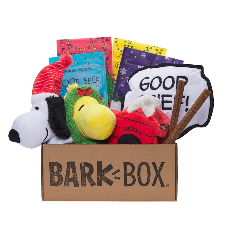This Peanuts BarkBox has holiday toys with your favorite characters