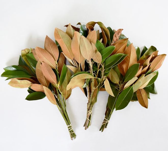 Live Magnolia Leaves, 3 Bunches