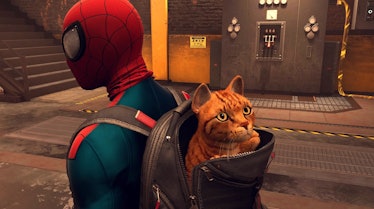 spider-man miles morales cat