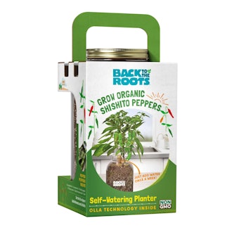 Self-Watering Planter Shishito Peppers Grow Kit