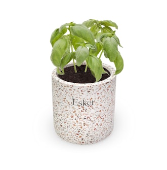 Plantable Candle