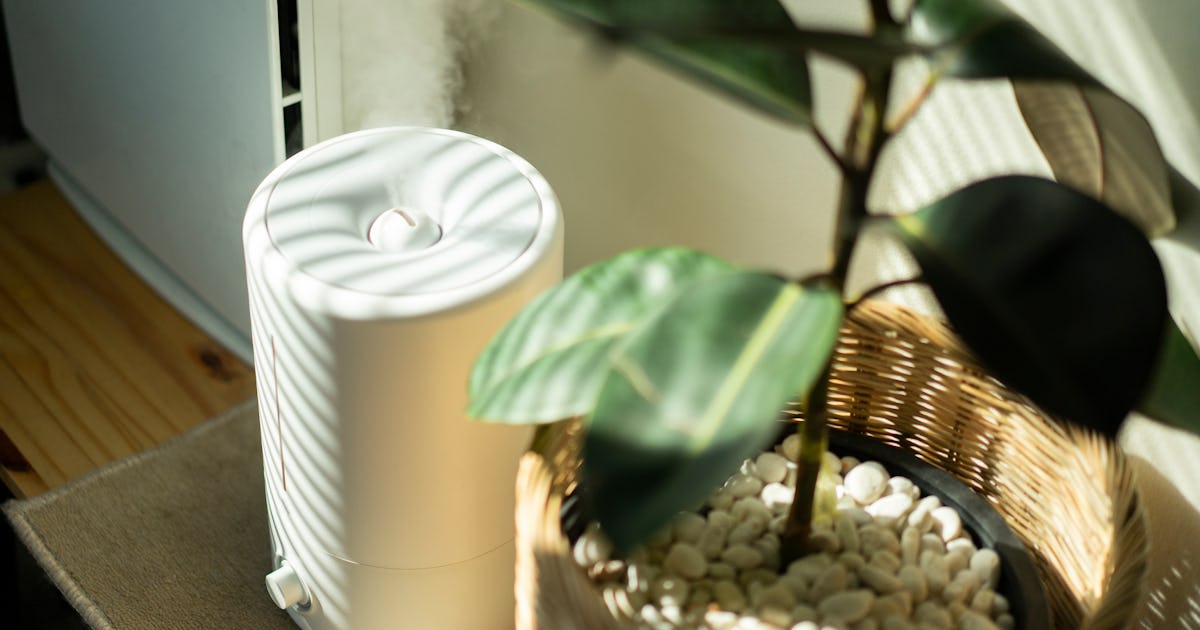 12 Humidifiers That Are Easy To Clean, Because Yes, They Really Do Exist