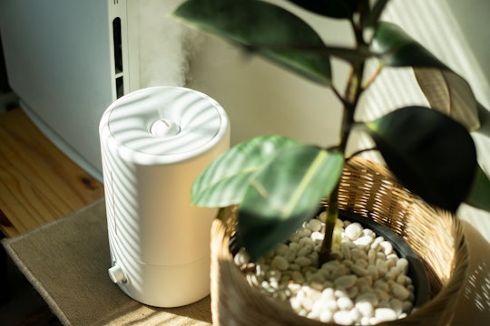 easy-to-clean humidifier next to a plant