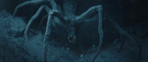 The spiders in 'The Mandalorian' Season 2, Episode 2