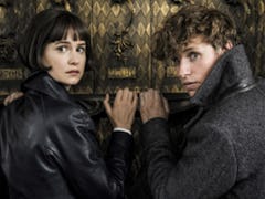 'Fantastic Beasts 3' Premiere Date Pushed To 2022