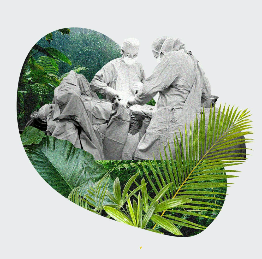 A collage with surgeons helping a woman deliver a baby placed inside the jungle