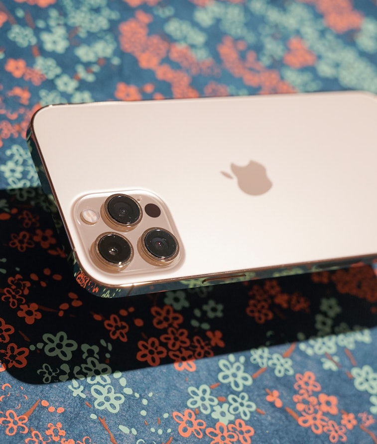 Review: iPhone 12 Pro Max vs. iPhone 12 Pro camera comparison