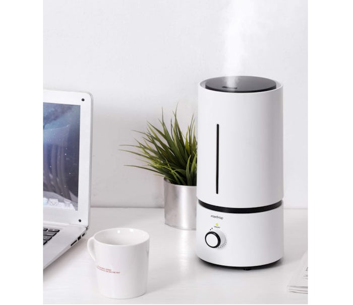 raydrop Cool Mist Humidifier