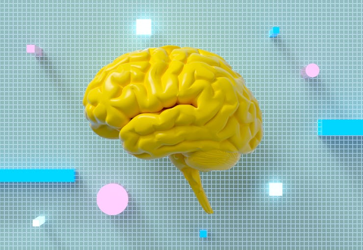 brain