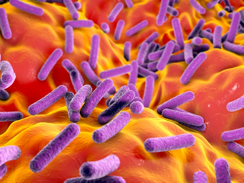 microbiome