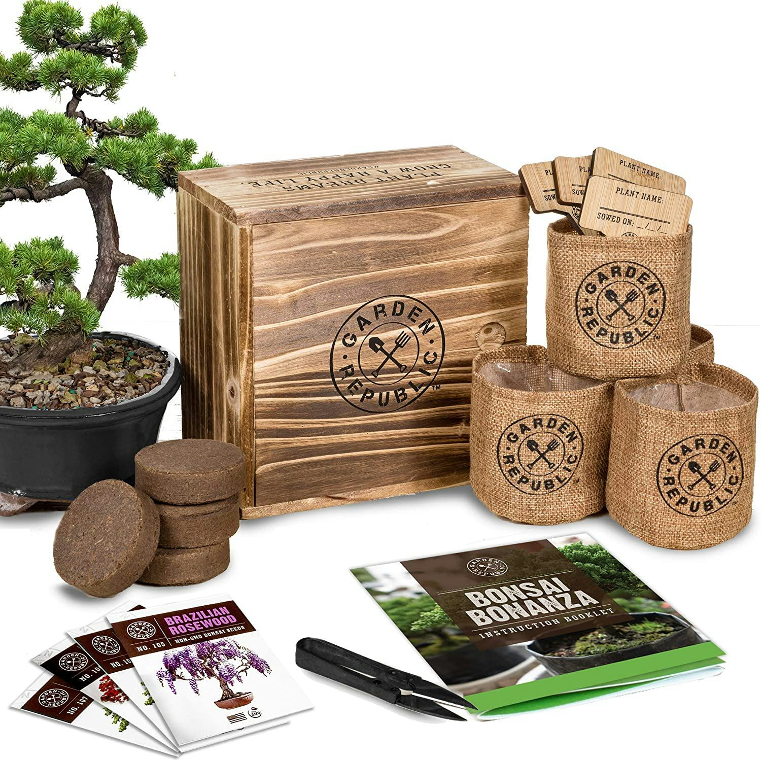 Garden Republic Bonsai Tree Seed Starter Kit