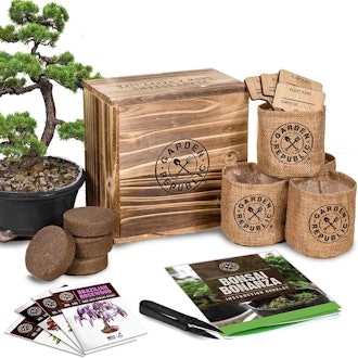 Garden Republic Bonsai Tree Seed Starter Kit