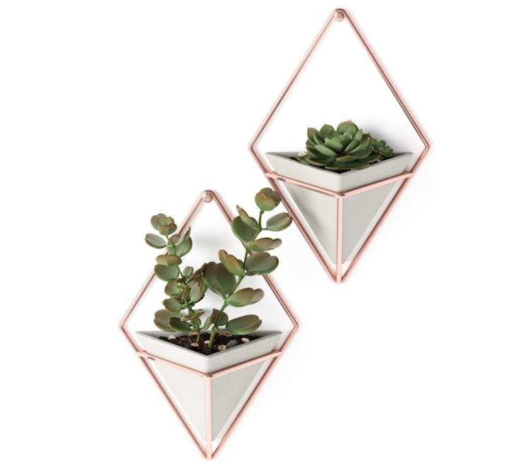 Umbra Trigg Hanging Planters (Set of 2)