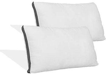 Coop Queen-Size Pillow Protectors (2-Pack)